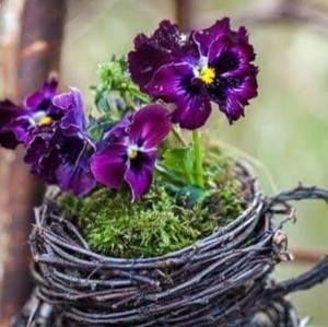 Meet your Posher, Sandra